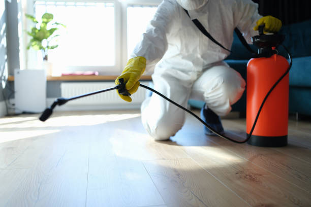 Reliable Odor Removal contractor in Maywood, CA by Crime Scene Cleaner Online
